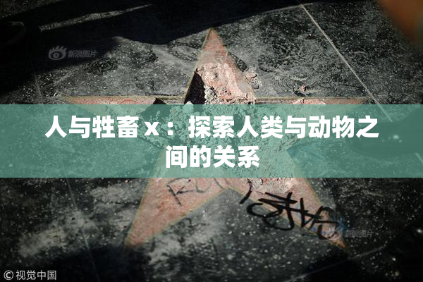 人与牲畜ⅹ：探索人类与动物之间的关系