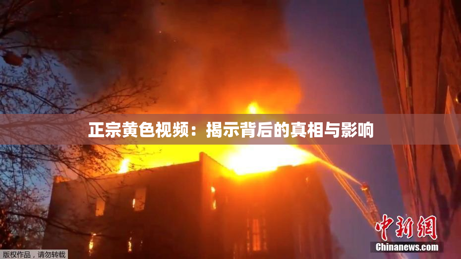 正宗黄色视频：揭示背后的真相与影响