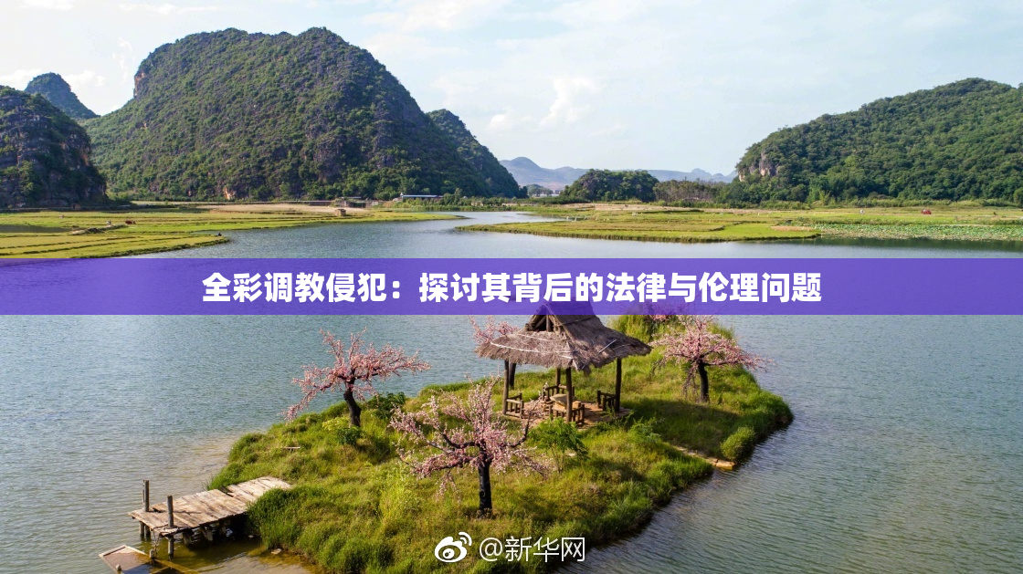 全彩调教侵犯：探讨其背后的法律与伦理问题