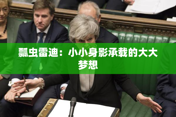 瓢虫雷迪：小小身影承载的大大梦想
