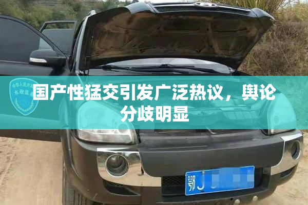 国产性猛交引发广泛热议，舆论分歧明显