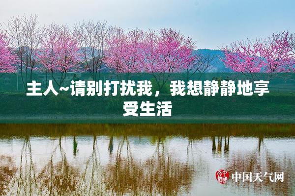 主人~请别打扰我，我想静静地享受生活
