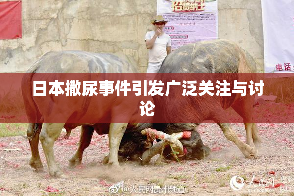日本撒尿事件引发广泛关注与讨论