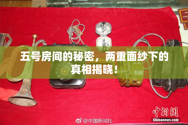 五号房间的秘密，两重面纱下的真相揭晓！