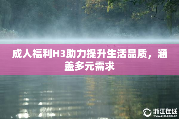 成人福利H3助力提升生活品质，涵盖多元需求