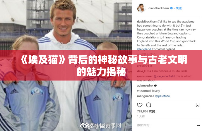 《埃及猫》背后的神秘故事与古老文明的魅力揭秘