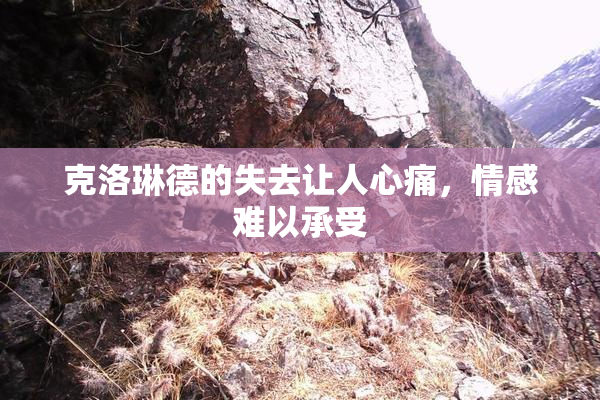 克洛琳德的失去让人心痛，情感难以承受