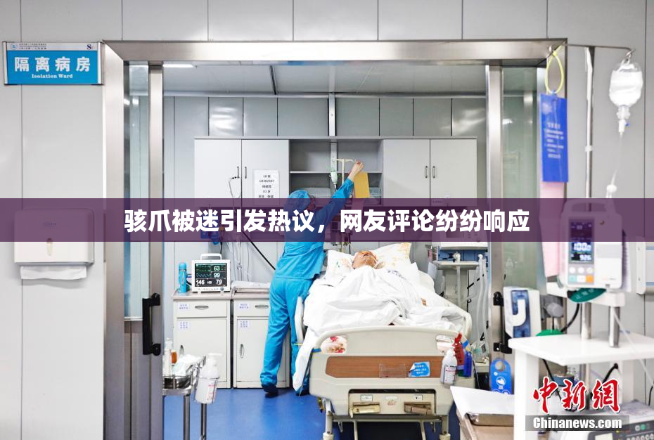 骇爪被迷引发热议，网友评论纷纷响应