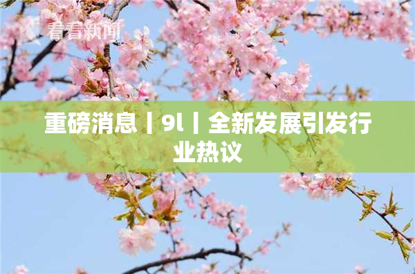 重磅消息丨9l丨全新发展引发行业热议