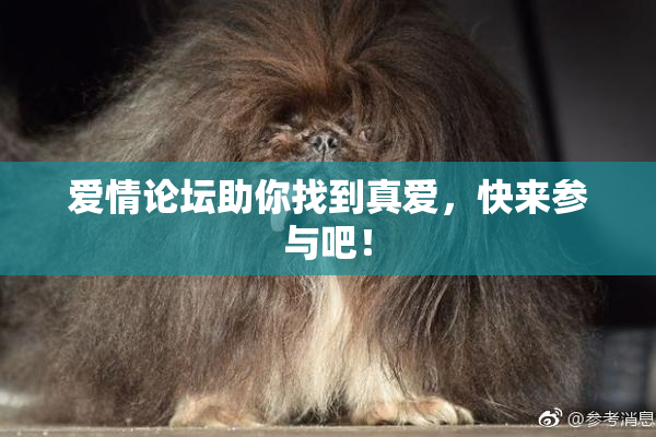 爱情论坛助你找到真爱，快来参与吧！
