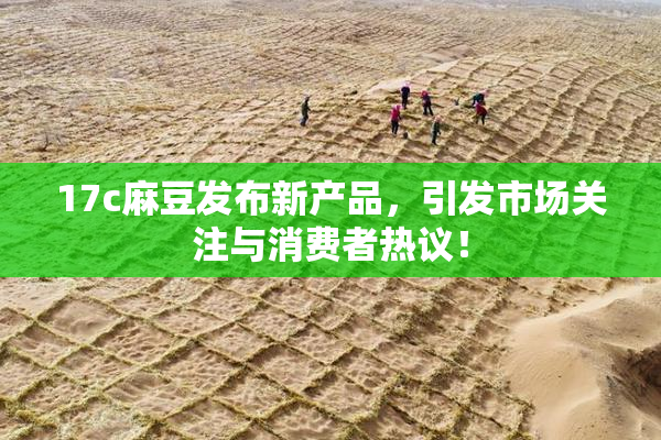 17c麻豆发布新产品，引发市场关注与消费者热议！