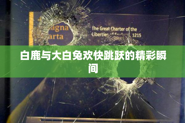 白鹿与大白兔欢快跳跃的精彩瞬间
