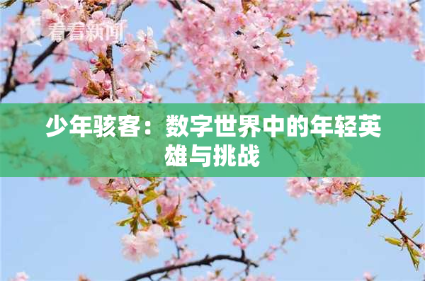 少年骇客：数字世界中的年轻英雄与挑战