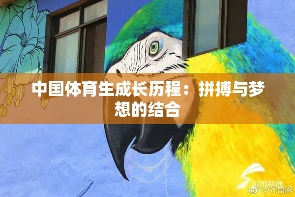 中国体育生成长历程：拼搏与梦想的结合