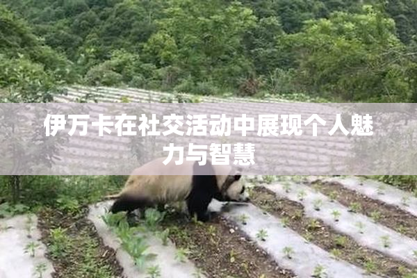 伊万卡在社交活动中展现个人魅力与智慧