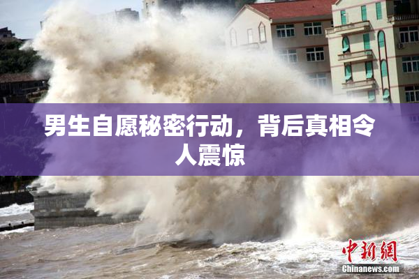 男生自愿秘密行动，背后真相令人震惊
