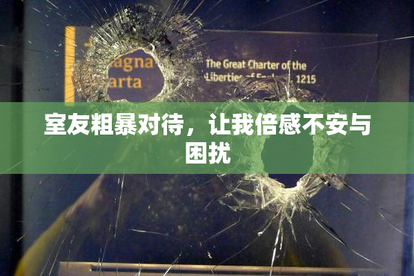 室友粗暴对待，让我倍感不安与困扰