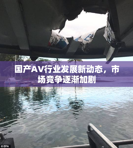 国产AV行业发展新动态，市场竞争逐渐加剧