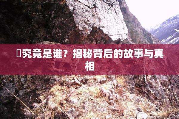 凪究竟是谁？揭秘背后的故事与真相
