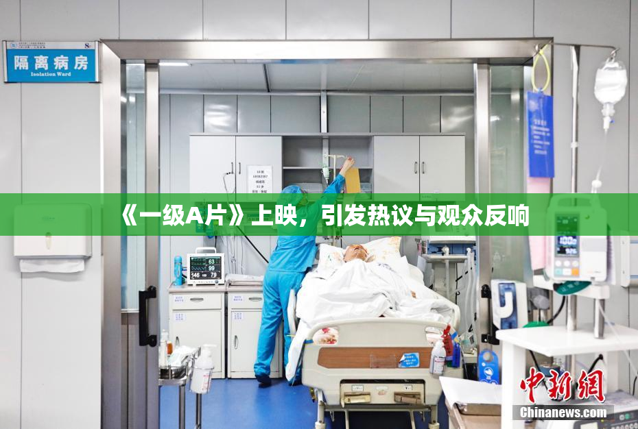《一级A片》上映，引发热议与观众反响