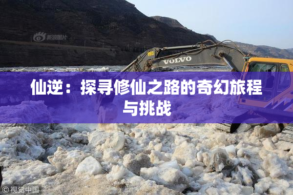 仙逆：探寻修仙之路的奇幻旅程与挑战