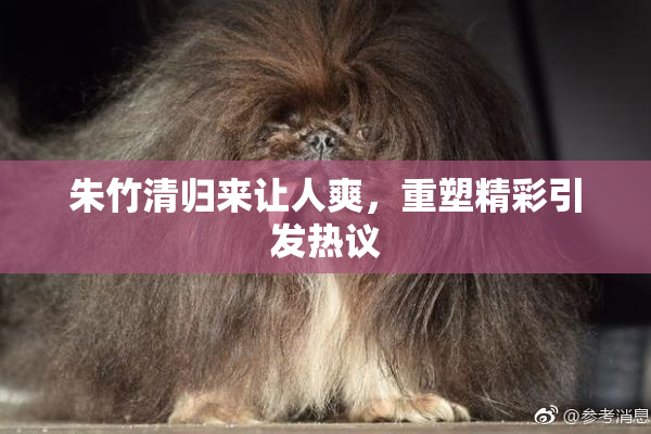 朱竹清归来让人爽，重塑精彩引发热议