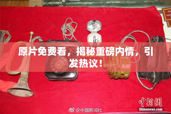 原片免费看，揭秘重磅内情，引发热议！