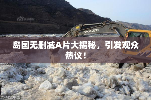 岛国无删减A片大揭秘，引发观众热议！