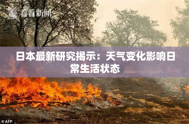 日本最新研究揭示：天气变化影响日常生活状态