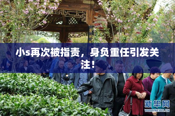 小s再次被指责，身负重任引发关注！
