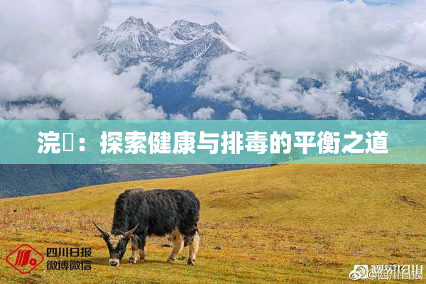 浣腸：探索健康与排毒的平衡之道