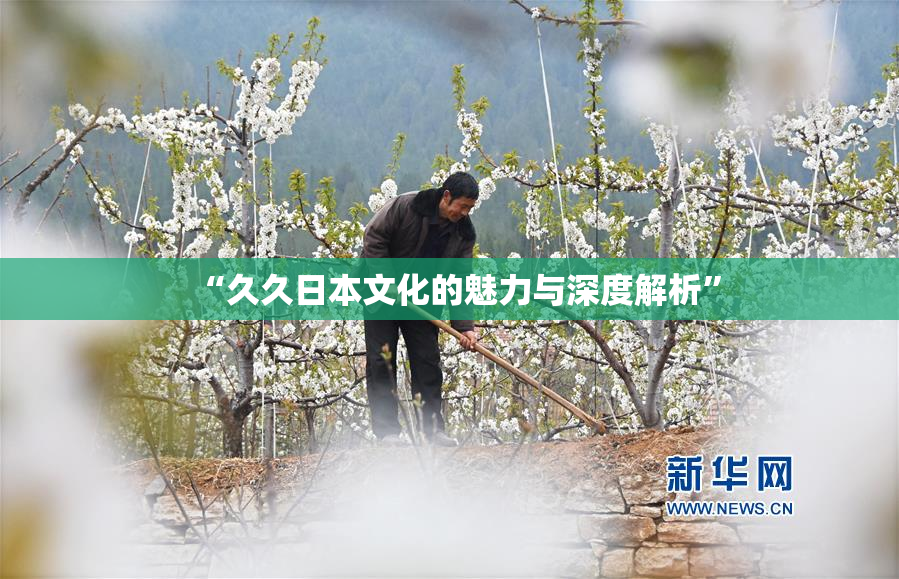 “久久日本文化的魅力与深度解析”
