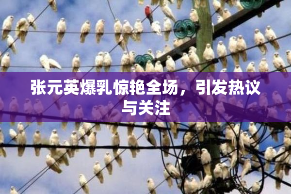 张元英爆乳惊艳全场，引发热议与关注