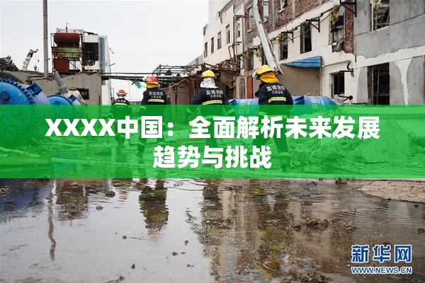 XXXX中国：全面解析未来发展趋势与挑战