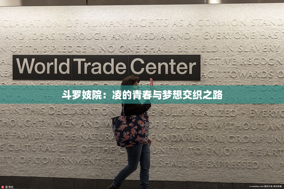 斗罗妓院：凌的青春与梦想交织之路