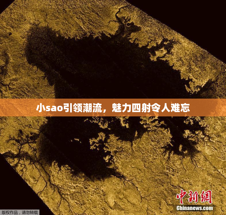 小sao引领潮流，魅力四射令人难忘