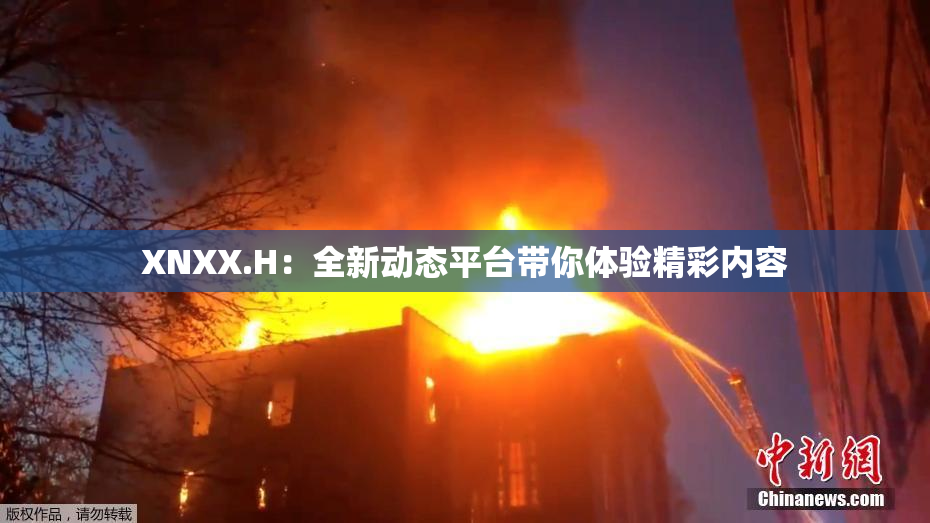 XNXX.H：全新动态平台带你体验精彩内容