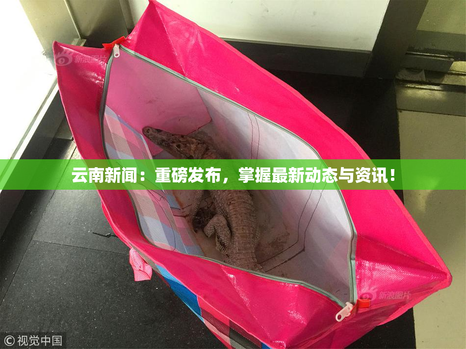 云南新闻：重磅发布，掌握最新动态与资讯！