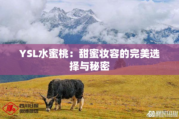 YSL水蜜桃：甜蜜妆容的完美选择与秘密