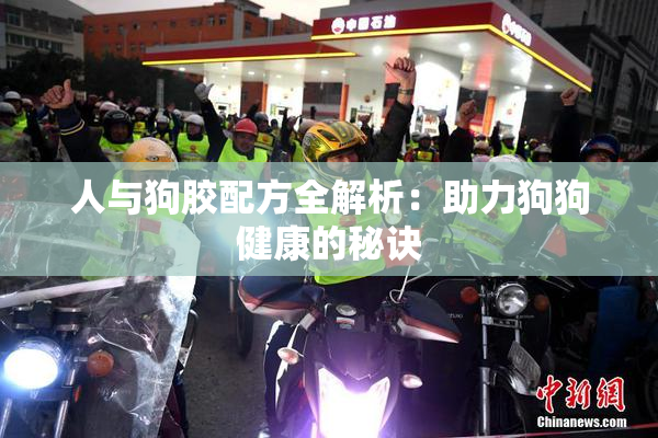 人与狗胶配方全解析：助力狗狗健康的秘诀