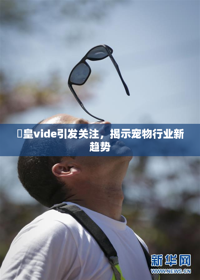 嘼皇vide引发关注，揭示宠物行业新趋势
