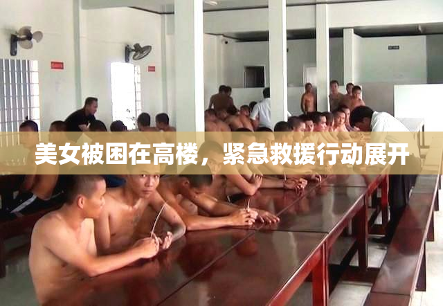 美女被困在高楼，紧急救援行动展开