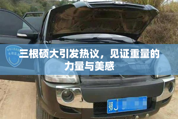 三根硕大引发热议，见证重量的力量与美感
