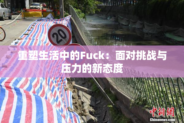 重塑生活中的Fuck：面对挑战与压力的新态度