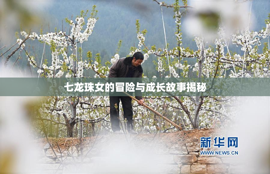 七龙珠女的冒险与成长故事揭秘