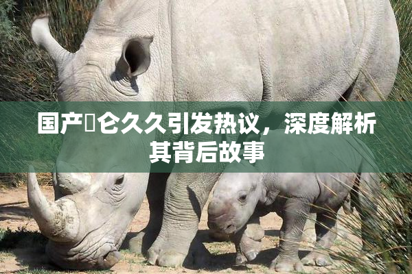国产婬仑久久引发热议，深度解析其背后故事