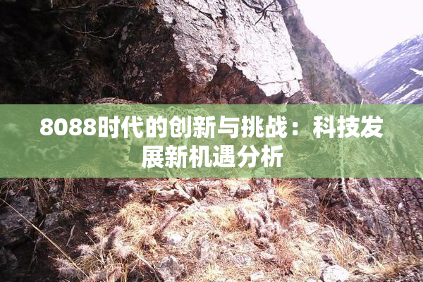8088时代的创新与挑战：科技发展新机遇分析