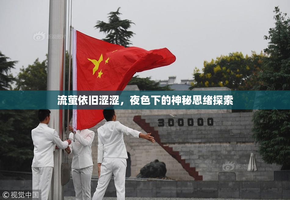 流萤依旧涩涩，夜色下的神秘思绪探索