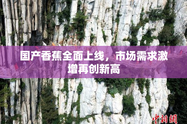 国产香蕉全面上线，市场需求激增再创新高