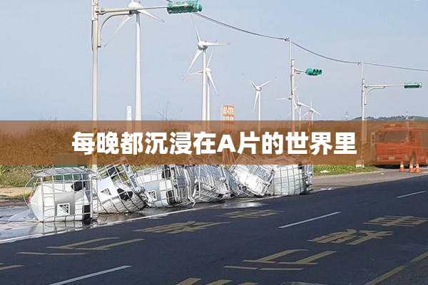 每晚都沉浸在A片的世界里